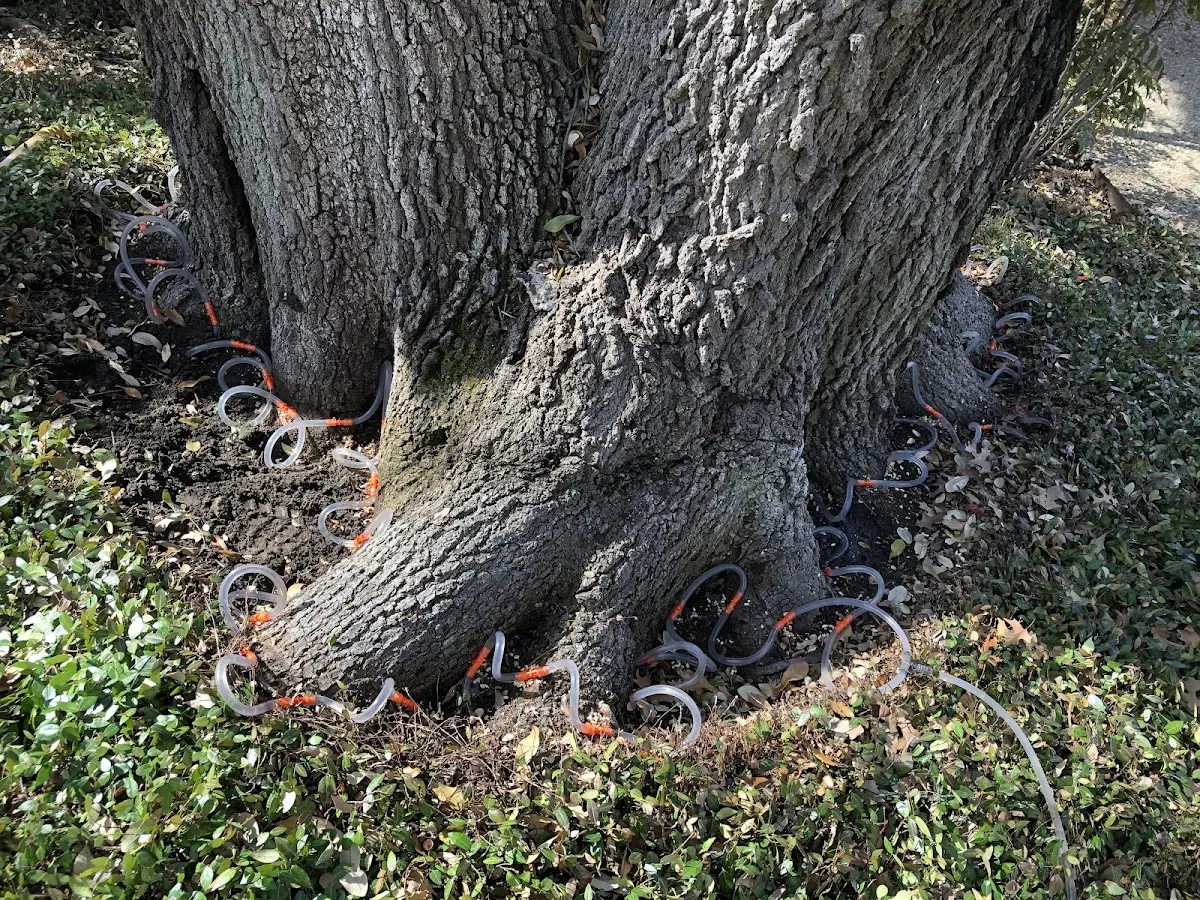 Detailed Shrub and Hedge Trimming job site in Kintnersville