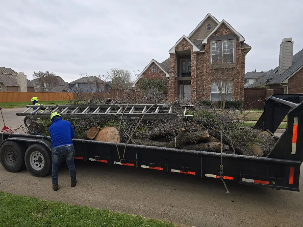 Expert Tree Removal with proper safety equipment in Kintnersville